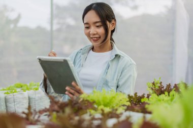 Asian farmer in vegetable organic farm. Female gardener use tablet to monitor growth quality vegetables in farm. Hydroponics organic farm concept.