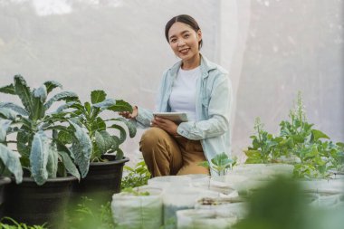 Asian farmer in vegetable organic farm. Female gardener use tablet to monitor growth quality vegetables in farm. Hydroponics organic farm concept.