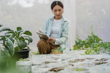 Asian farmer in vegetable organic farm. Female gardener use tablet to monitor growth quality vegetables in farm. Hydroponics organic farm concept.