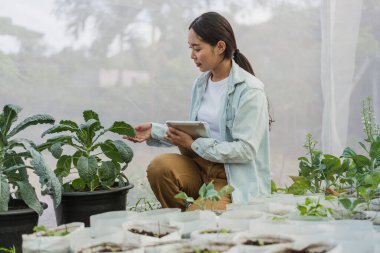 Asian farmer in vegetable organic farm. Female gardener use tablet to monitor growth quality vegetables in farm. Hydroponics organic farm concept.