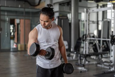 Asyalı adam spor yapıyor. Spor elbiseli genç bir adam spor salonunda silah egzersizi yapıyor..