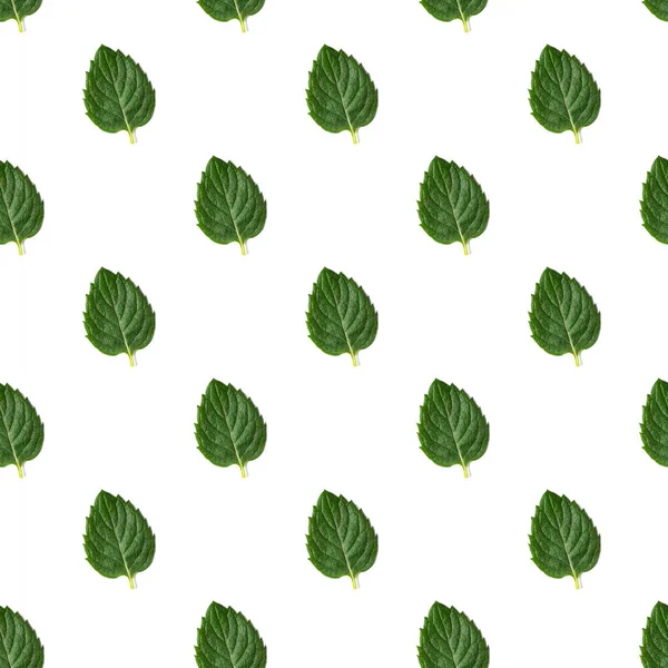 Beyaz arka planda bir sürü yeşil nane yaprağı var. Nane Yaprağı Deseni