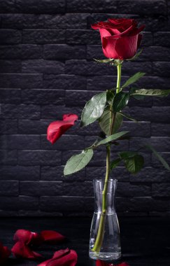 A red rose in a transparent glass vase on a black table