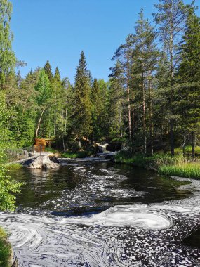 Karelia 'daki Tokhmayoki Nehri' nde açık bir yaz sabahı ağaçlarla çevrili pitoresk bir şelale..
