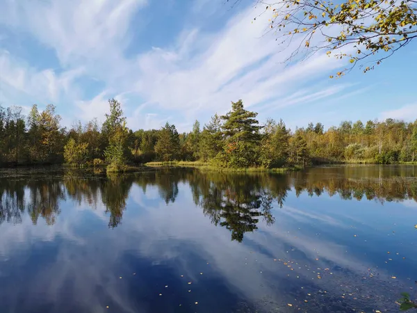 Sestroretsk bataklık ekotrosundaki orman gölü, düşen yaprakların yüzdüğü sularda, sonbahar ağaçları ve tüylü bulutlu mavi gökyüzü yansıtılır..