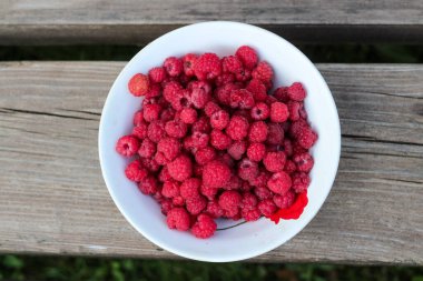 Gri tahtaların üzerinde duran taze orman böğürtlenli beyaz bir tabağın üst görüntüsü. Çevre dostu yemekler..