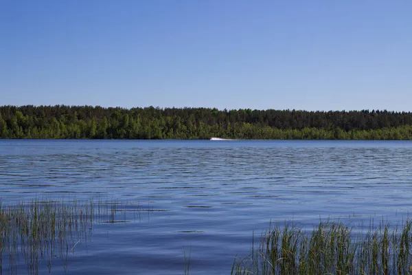 Bir yaz gününde Orman Gölü. Karşı kıyıda su bisikleti süren biri var..