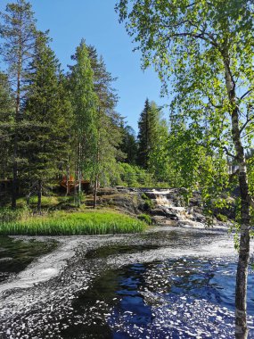 Karelia 'daki Tokhmayoki Nehri' nde açık bir yaz sabahı ağaçlarla çevrili pitoresk bir şelale..