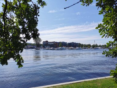 Krestovsky Adası açıklarında duran yatların manzarası güneşli bir yaz gününde bulutlu mavi gökyüzünün arka planında bir meşe ağacının dalları ve yaprakları arasında.