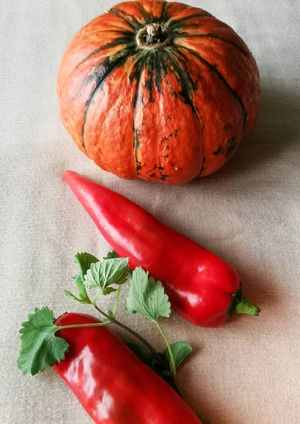 Una Pequeña Calabaza Naranja Con Rayas Verdes Dos Pimientos Rojos —  Fotos de Stock