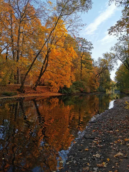 Der Fluss Park Auf Der Insel Elagin Der Die Bäume — Stockfoto