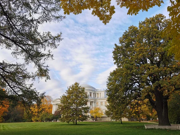 Elaginoostrovsky Sarayı Nın Manzarası Petersburg Parkındaki Bir Tarlakuşunun Dallarının Altından Stok Fotoğraf
