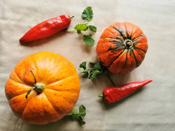 Två Små Orange Pumpor Med Gröna Ränder Två Röda Paprika — Stockfoto