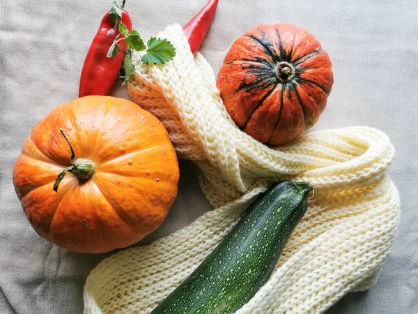 Two Small Orange Pumpkins One Green Stripes Zucchini Two Red — Stock Photo, Image