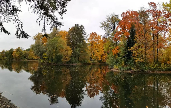 Bäume Mit Bunten Blättern Wachsen Ufer Des Teiches Und Spiegeln — Stockfoto