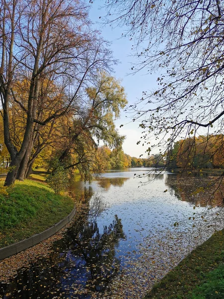 Uma Lagoa Parque Ilha Elagin Que Reflete Árvores Que Crescem — Fotografia de Stock