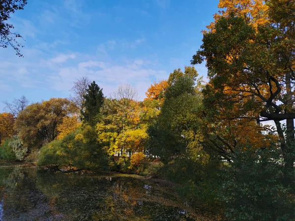 在Elagin岛上公园的一个池塘里 反映了河岸上生长着的树木 秋天的叶子明亮 蓝天飘扬 落叶飘扬 — 图库照片
