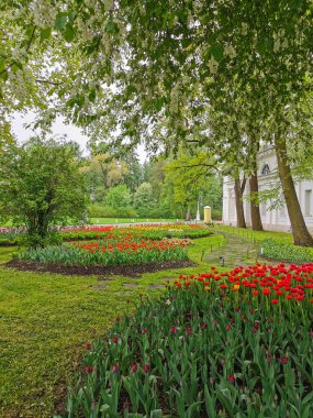 Bir bahar günü, bir kaldırım ve fenerin arka planında, ağaçların arasında kırmızı lalelerle dolu büyük bir çiçek tarhı. St. Petersburg 'daki Elagin Adası' ndaki lale festivali..