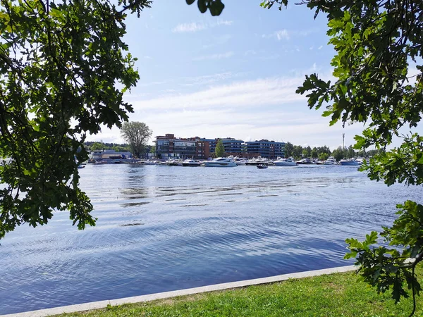 Zicht Jachten Voor Kust Van Krestovsky Island Door Takken Gebladerte — Stockfoto