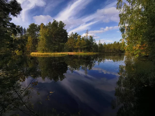 Sestroretsk沼泽地森林湖水中绿叶发黄 天空乌云密布的镜像 — 图库照片