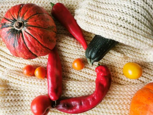 Dos Pequeñas Calabazas Anaranjadas Una Con Rayas Verdes Calabacín Tomates —  Fotos de Stock