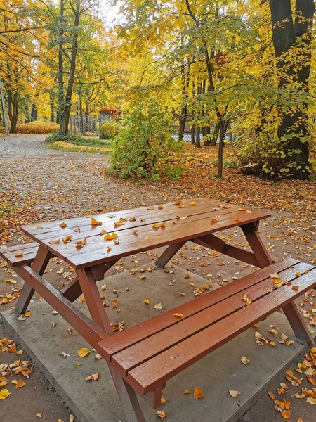 Kahverengi ahşap bir masa ve St. Petersburg Elagin Adası 'ndaki bir sonbahar parkında dökülen yapraklarla kaplı bir kafenin bankları..