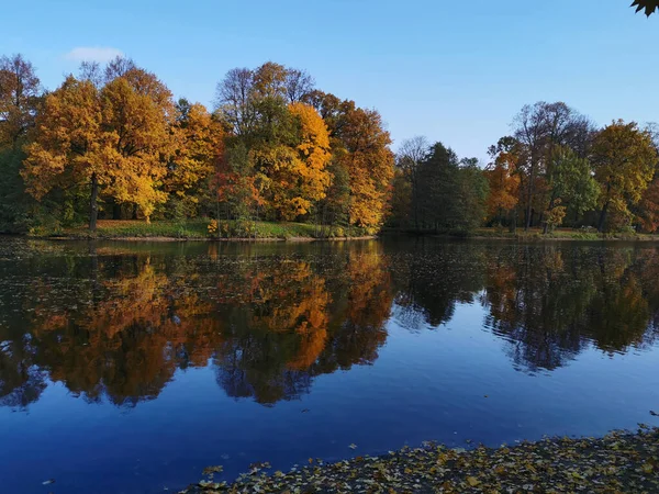 Ein See Park Auf Der Insel Elagin Petersburg Der Die — Stockfoto