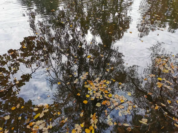 Wasser Des Teiches Park Auf Der Insel Elagin Spiegeln Sich — Stockfoto