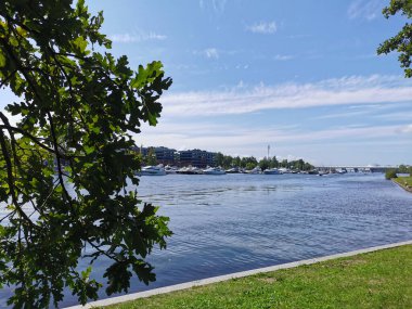 Krestovsky Adası açıklarında duran yatların manzarası güneşli bir yaz gününde bulutlu mavi gökyüzünün arka planında bir meşe ağacının dalları ve yaprakları arasında.