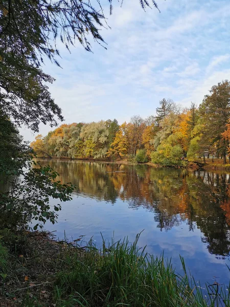 Lago Parque Ilha Elagin São Petersburgo Que Reflete Árvores Que — Fotografia de Stock