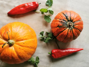 İki küçük turuncu balkabağı, biri yeşil çizgili, iki kırmızı biber ve açık renk kumaş üzerinde Melissa (Latin Melissa officinalis). Üst görünüm.