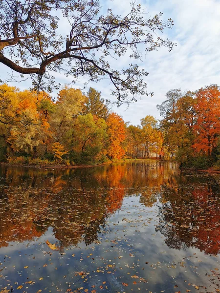 Bäume Mit Bunten Blättern Wachsen Ufer Des Teiches Und Spiegeln — Stockfoto
