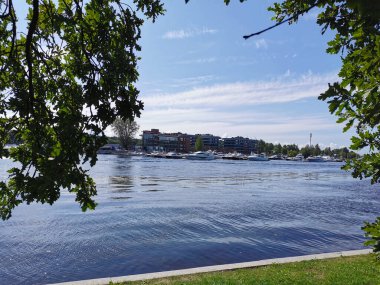 Krestovsky Adası açıklarında duran yatların manzarası güneşli bir yaz gününde bulutlu mavi gökyüzünün arka planında bir meşe ağacının dalları ve yaprakları arasında.