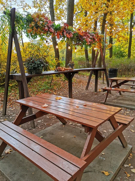 Tavolo Legno Marrone Panchine Caffè All Aperto Coperto Foglie Cadute — Foto Stock