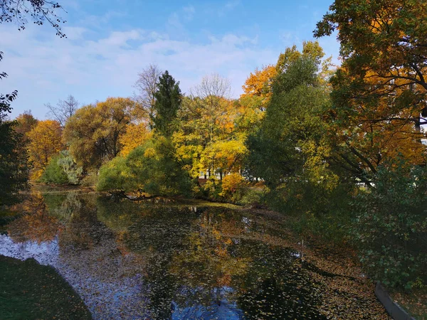 在Elagin岛上公园的一个池塘里 反映了河岸上生长着的树木 秋天的叶子明亮 蓝天飘扬 落叶飘扬 — 图库照片