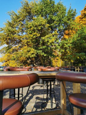 St. Petersburg 'da Elagin Adası' ndaki bir parkta yüksek sandalyeli ve sonbahar ağaçlarının altında ahşap bir masası olan terk edilmiş bir sokak kafesi..