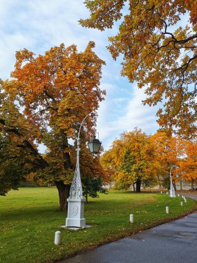 Kestanelerin arka planında turuncu ve yeşil, parlak sonbahar yapraklarıyla güzel sokak ışıkları ve St. Petersburg Elagin Adası 'ndaki parkta bulutlu güzel bir gökyüzü.