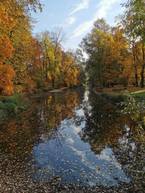 Elagin Adası 'ndaki parktaki nehir, parlak sonbahar yaprakları ve bulutlu gökyüzü ile kıyılarda büyüyen ağaçları yansıtıyor..