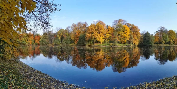 Panorama Över Sjön Parken Elagin Petersburg Som Speglar Träden Växer — Stockfoto