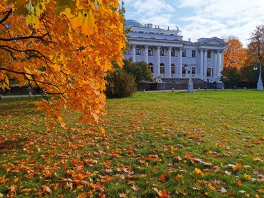 Elaginoostrovsky Sarayı 'nın arka planında turuncu, parlak, sonbahar yaprakları olan akçaağaç, St. Petersburg' daki Elagin Adası 'ndaki bir parkta sütunları, merdivenleri ve aslanları olan bir akçaağaç..