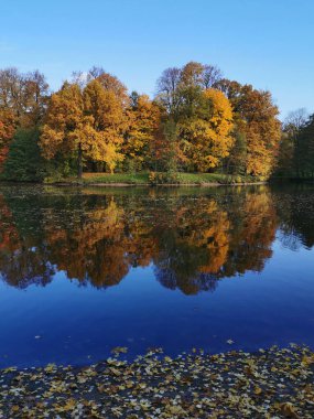 St. Petersburg Elagin Adası 'ndaki parkta, parlak sonbahar yaprakları ve bulutlu mavi gökyüzü ile kıyılarda büyüyen ağaçları yansıtan bir göl..