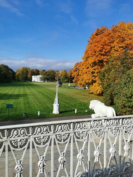 San Pietroburgo Russia Vista Della Recinzione Una Scultura Leone Bianco — Foto Stock