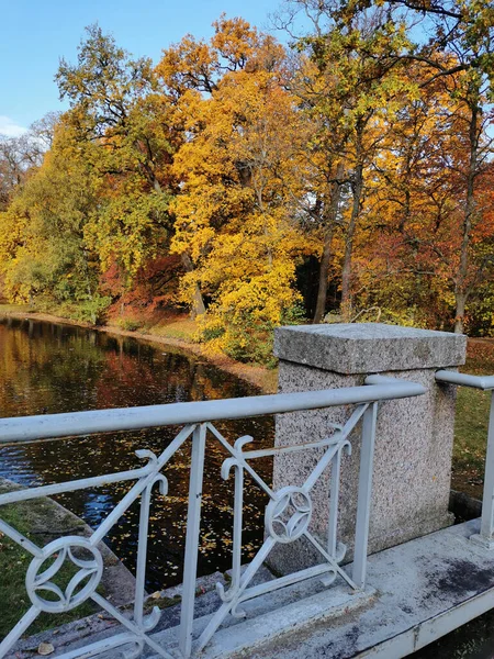 Ponte Sullo Stagno Nel Parco Sull Isola Elagin San Pietroburgo — Foto Stock