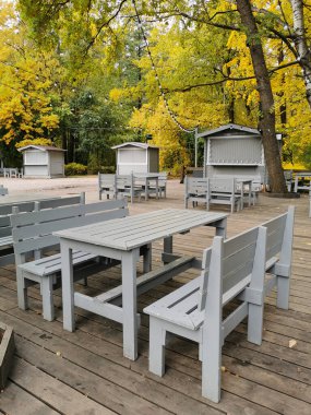 St. Petersburg 'da Elagin Adası' ndaki bir parkta sonbahar ağaçlarının altında gri ahşap masaları ve bankları olan ıssız bir sokak kafesi..