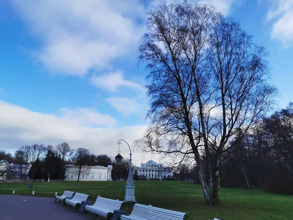 Bancs Bois Blanc Derrière Eux Une Belle Lanterne Une Prairie — Photo