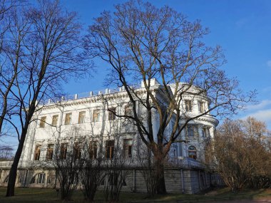 Elaginoostrovsky Sarayı. Ağaçların ve çalıların arasında. Düşen yapraklarla..