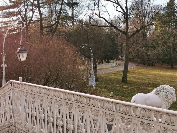 圣彼得堡 俄罗斯 2021年9月11日 圣彼得堡秋季公园 一只狮子的白色雕塑在Elaginoostrovsky宫的篱笆外 背景是一盏美丽的灯笼 树木和乌云密布的天空 — 图库照片