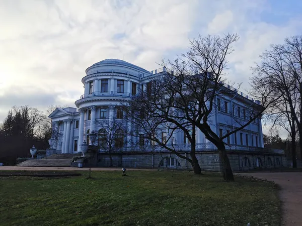 Gray Elaginoostrovsky Palace Mezi Stromy Spadlým Listím Podzimním Parku Petrohradu — Stock fotografie