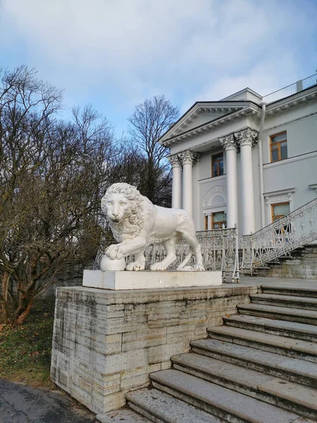 Une Sculpture Blanche Lion Escalier Entrée Palais Elaginoostrovsky Sur Fond — Photo