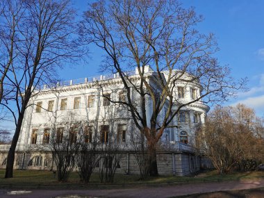 Saint-Petersburg 'da. - Rusya. Beyaz ahşap banklar, arkalarında güzel bir fener, bir petrol çayırı yapraksız bir huş ağacı ve St. Petersburg sonbahar parkında bulutlu mavi gökyüzüne karşı Elaginoostrovsky Sarayı..